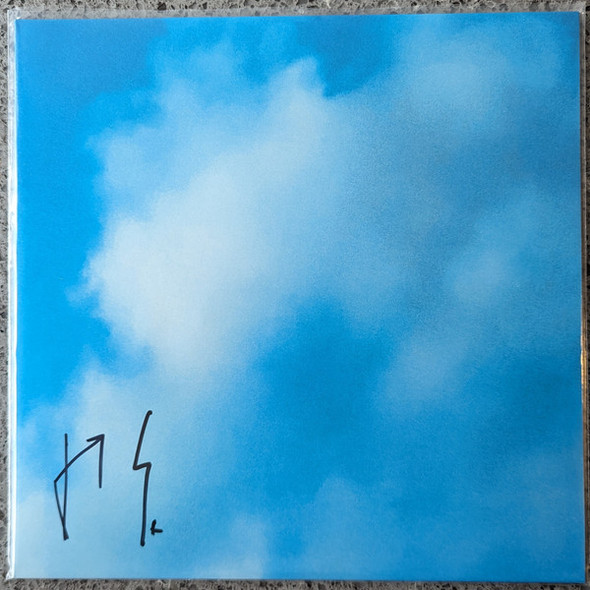 30 Seconds To Mars - It's The End Of The World But It's A Beautiful Day Vinyl Record Album Art