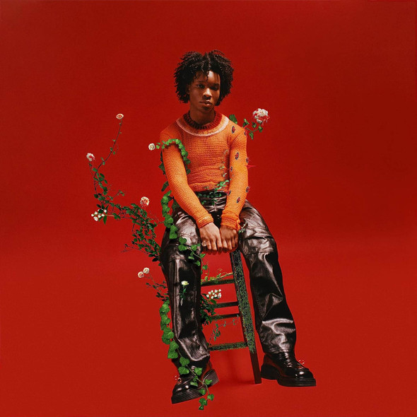 D4vd - Petals To Thorns Vinyl Record Album Art