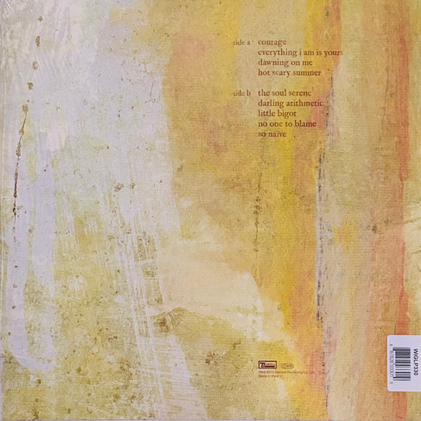 Picture of Darling Arithmetic Vinyl Record