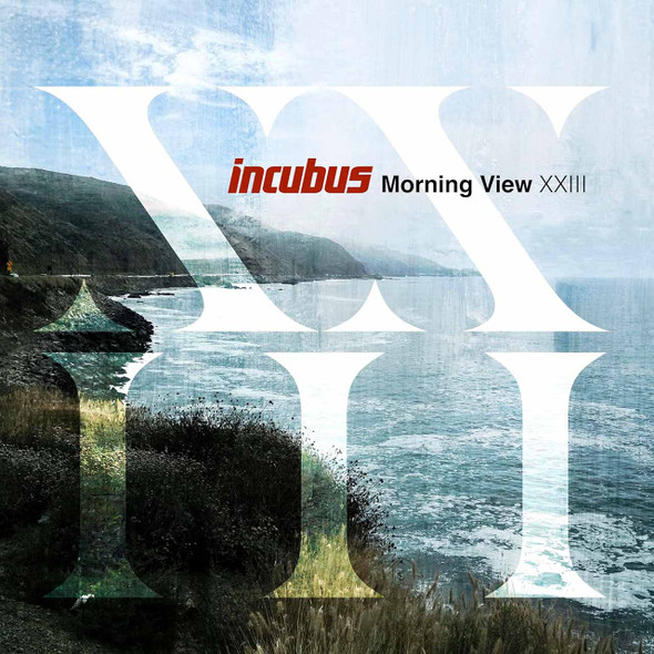 Incubus - Morning View XXIII Vinyl Record Album Art