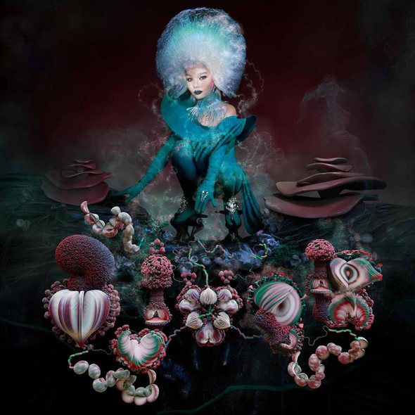 Bjork - Fossora Vinyl Record Album Art