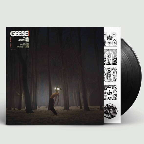 Geese  - Projector Vinyl Record Album Art