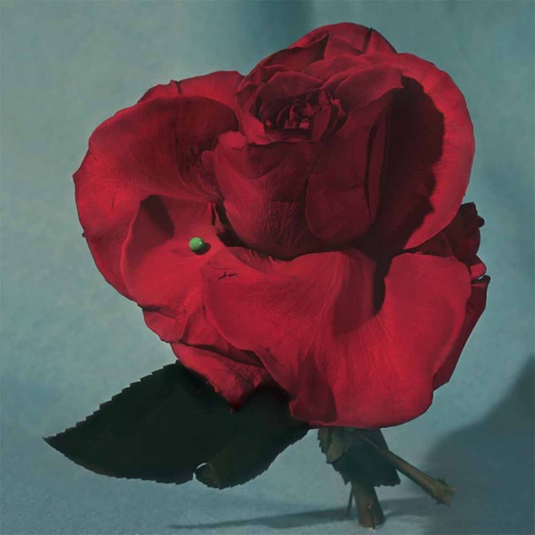 Metz - Up On Gravity Hill Vinyl Record Album Art
