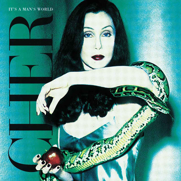Cher - It's a Man's World Vinyl Record Album Art