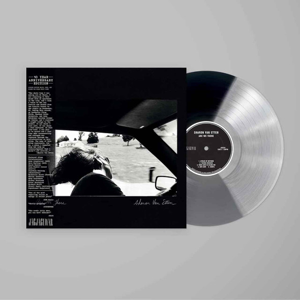 Sharon Van Etten - Are We There Vinyl Record Album Art