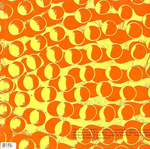 Picture of Morning / Evening Vinyl Record