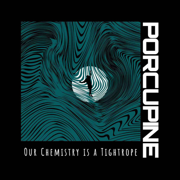 Porcupine - Our Chemistry is a Tightrope Vinyl Record Album Art