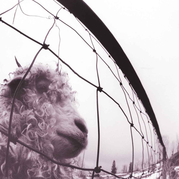 Pearl Jam - Vs. Vinyl Record Album Art