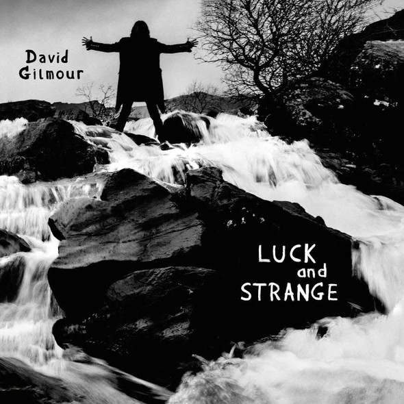 David Gilmour - Luck And Strange Vinyl Record Album Art