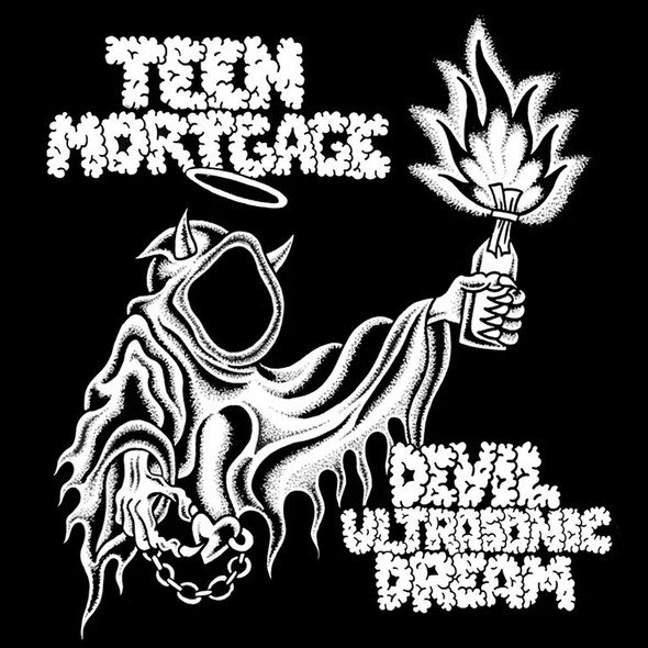 Teen Mortgage - Devil Ultrasonic Dream Vinyl Record Album Art