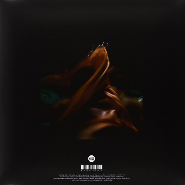 Picture of Until The Quiet Comes Vinyl Record