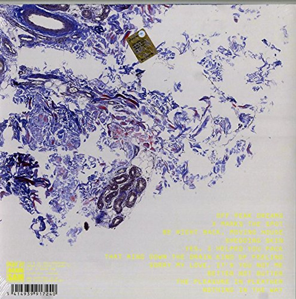 Picture of Shedding Skin Vinyl Record