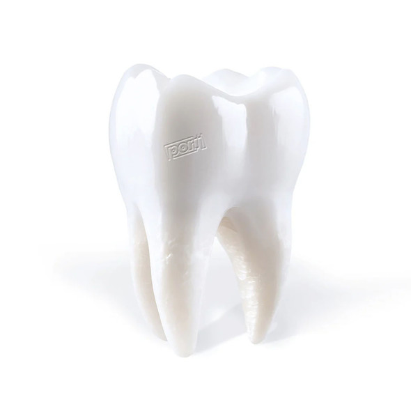 Porij - Teething Vinyl Record Album Art