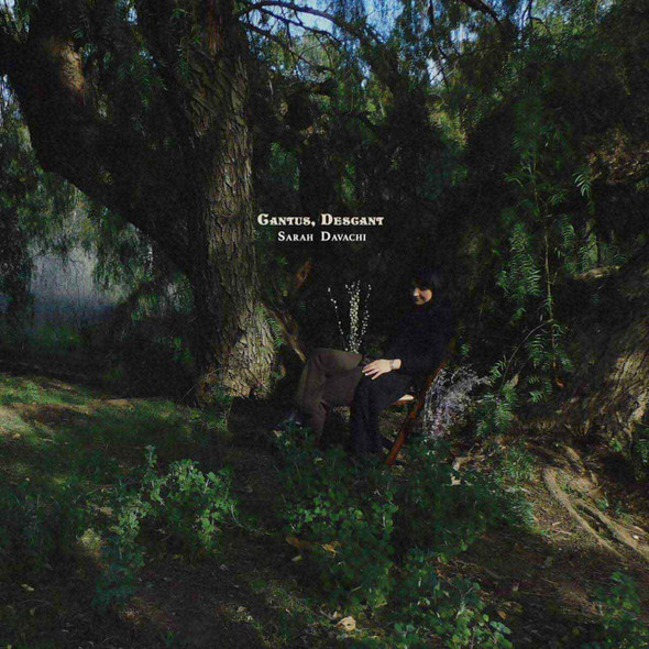 Sarah Davachi - Cantus, Descant Vinyl Record Album Art