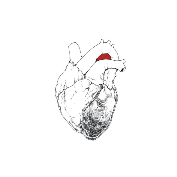 Swans - The Beggar Vinyl Record Album Art