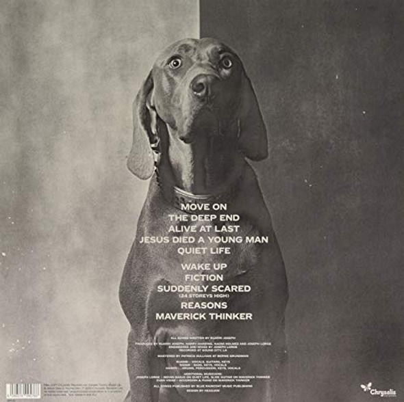 Picture of Maverick Thinker Vinyl Record