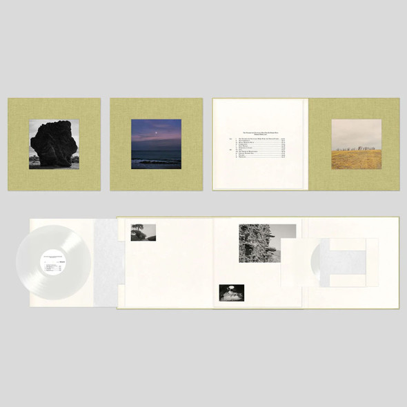 Damon Albarn - The Nearer The Fountain, More Pure The Stream Flows Vinyl Record Album Art