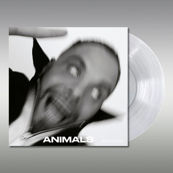 Picture of Animals Vinyl Record