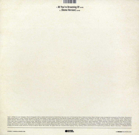 Picture of All You're Dreaming Of... Vinyl Record