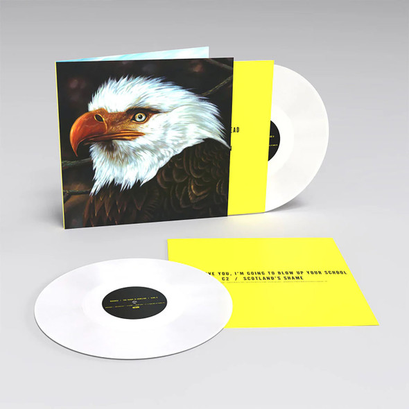 Picture of The Hawk Is Howling Vinyl Record