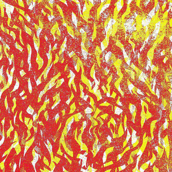 The Bug - Fire Vinyl Record Album Art
