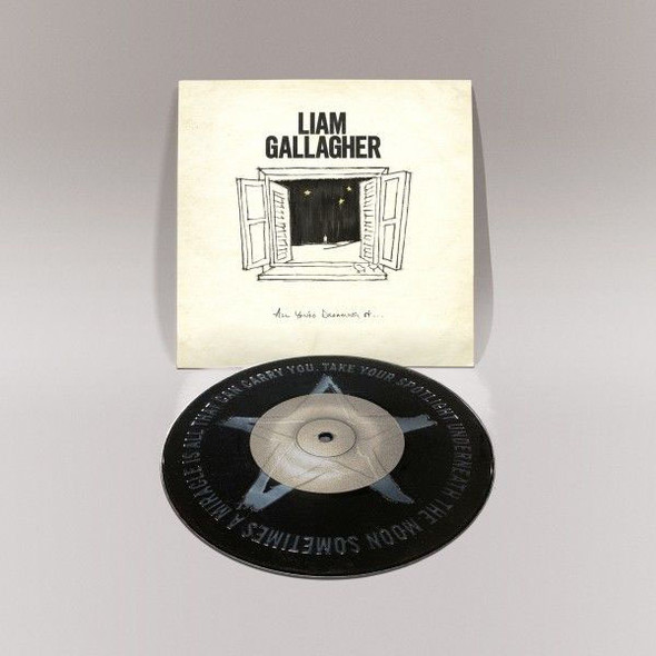Liam Gallagher - All You're Dreaming Of... Vinyl Record Album Art