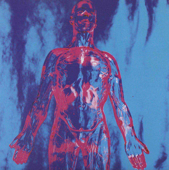 Nirvana - Sliver Vinyl Record Album Art