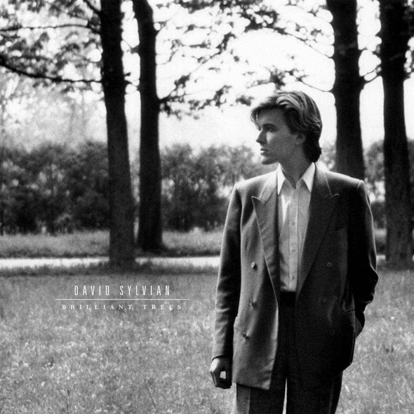 David Sylvian - Brilliant Trees Vinyl Record Album Art