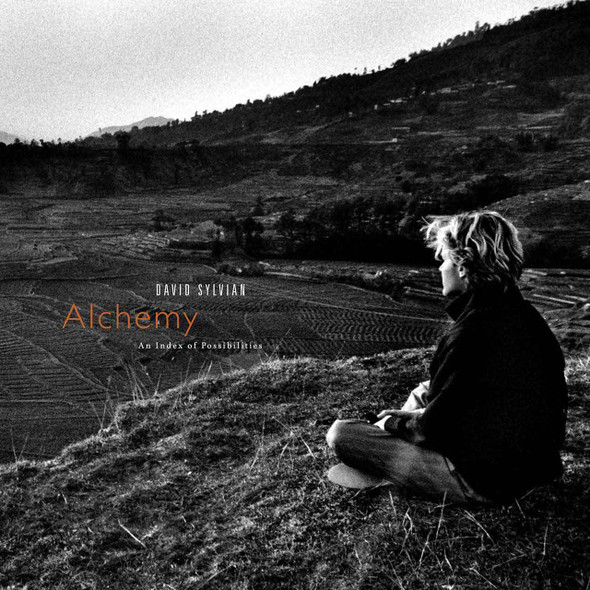 David Sylvian & Jon Hassell - Alchemy: An Index Of Possibilities Vinyl Record Album Art