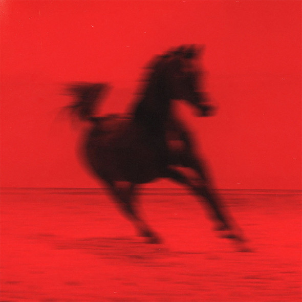 Picture of BUCKBUCK Vinyl Record