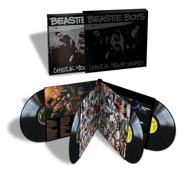 Picture of Check Your Head Vinyl Record