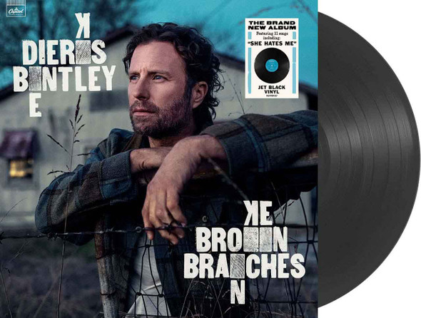 Picture of Broken Branches Vinyl Record