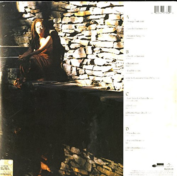 Picture of New Moon Daughter Vinyl Record