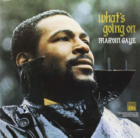 Marvin Gaye - What's Going On Vinyl Record Album Art