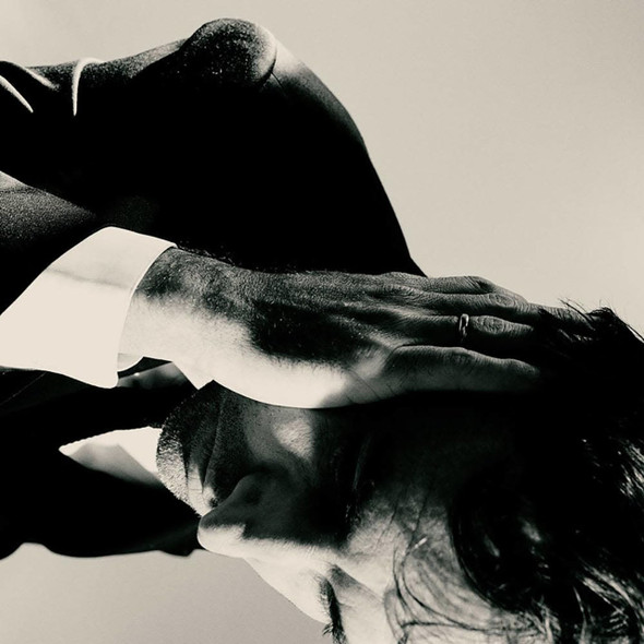 Andrew Bird - Inside Problems Vinyl Record Album Art
