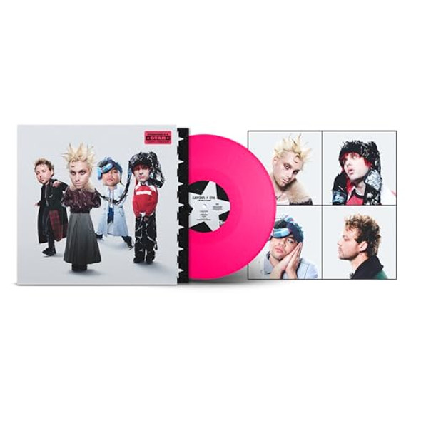 Picture of EVERYONE'S A STAR! Vinyl Record
