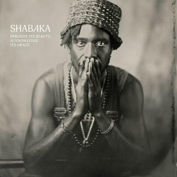 Shabaka Hutchings - Perceive Its Beauty, Acknowledge Its Grace Vinyl Record Album Art