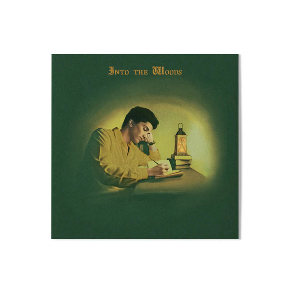 Joel Sunny - Into The Woods Vinyl Record Album Art