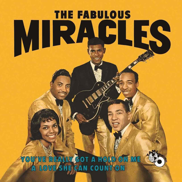 The Miracles - You've Really Got A Hold On Me Vinyl Record Album Art