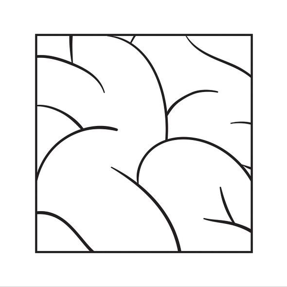 Intellexual - Intellexual Vinyl Record Album Art