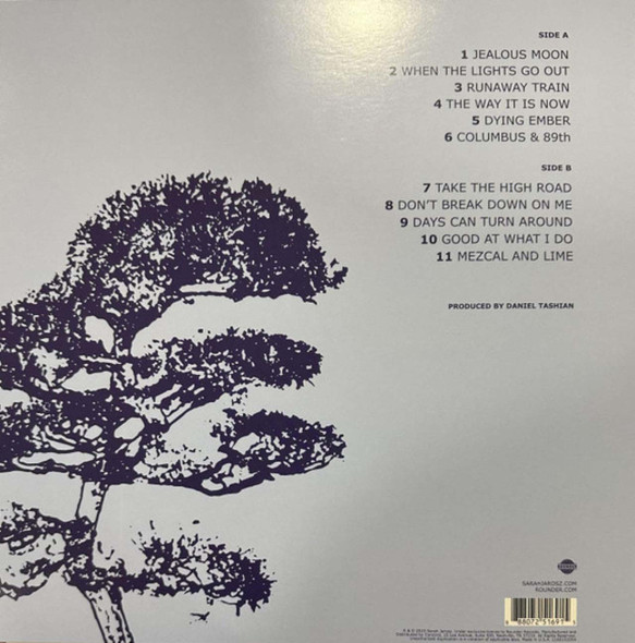 Picture of Polaroid Lovers Vinyl Record