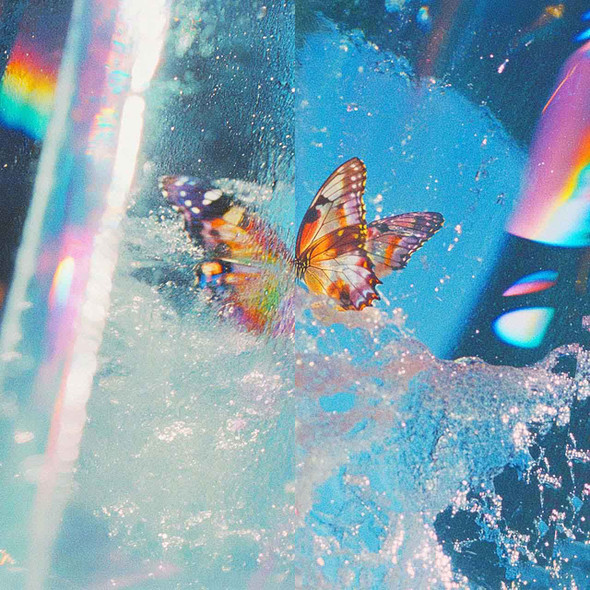 Daphni - Butterfly Vinyl Record Album Art