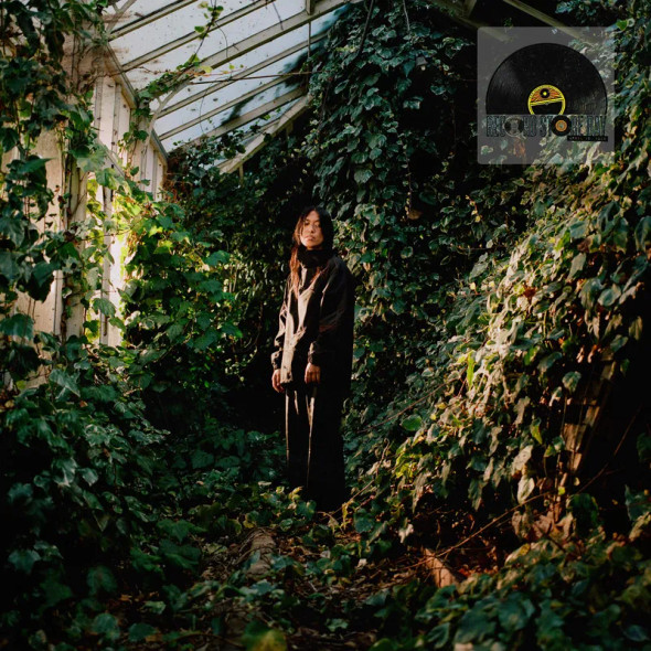 Deb Never - Figuring This Out Record Store Day 2026 Vinyl Record