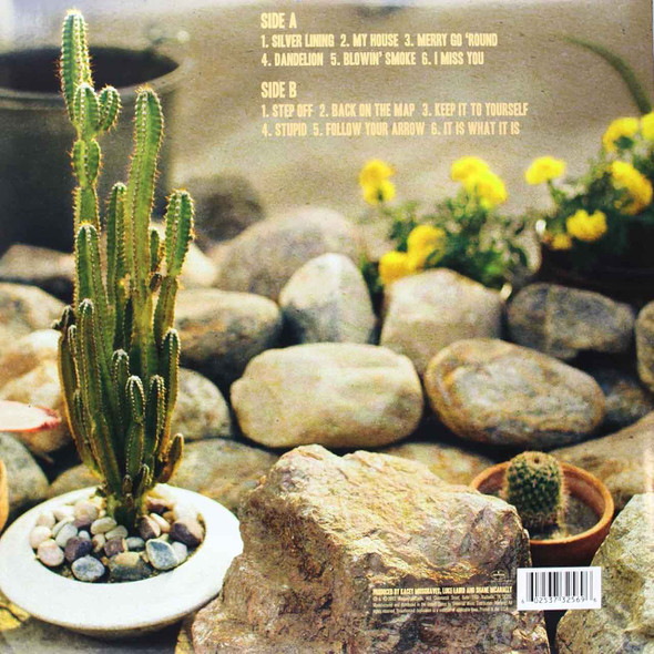 Picture of Same Trailer Different Park Vinyl Record