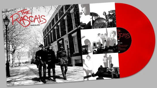 Picture of Rascalize Vinyl Record