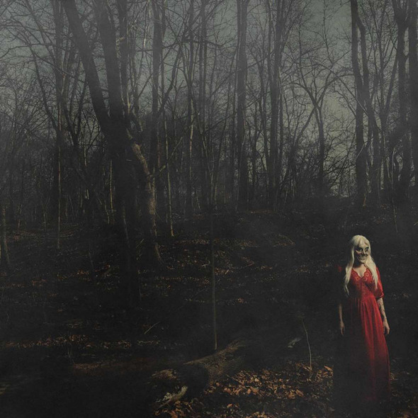 156/Silence - From A Distance Vinyl Record Album Art