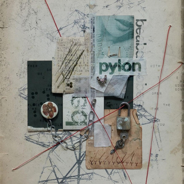 Beabadoobee - Pylon Vinyl Record Album Art