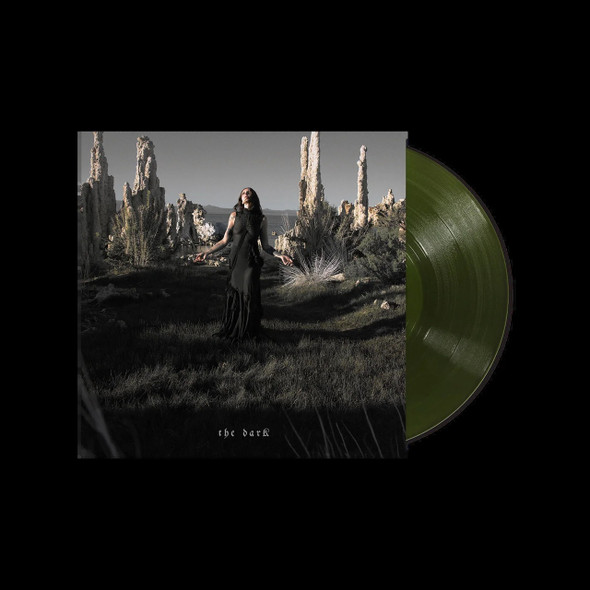 Picture of The Dark Vinyl Record