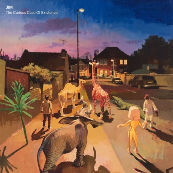 Jim - The Curious Case Of Existence Vinyl Record Album Art