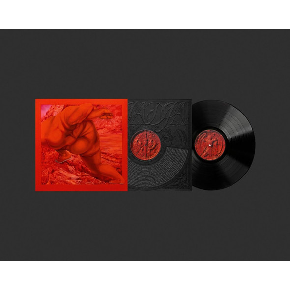 Picture of Dja Dja Vinyl Record